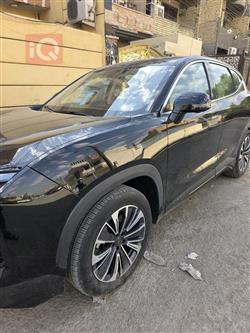 جيتور داشينج